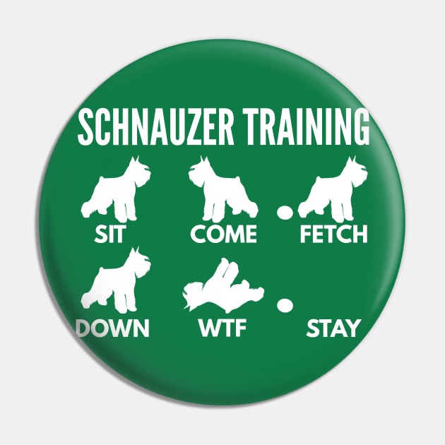 Schnauzer Training Schnauzer Dog Tricks Pin by DoggyStyles