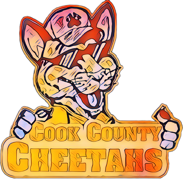 Cook County Cheetahs Baseball Kids T-Shirt by Kitta’s Shop