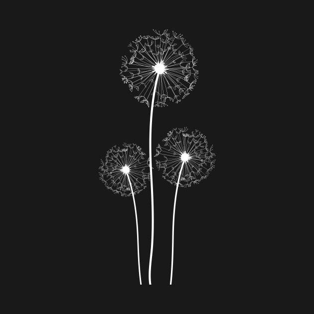 Dandelions on black by hedehede