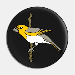 Hawaiian Palila Bird Pin