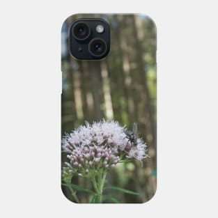 Fly On Water Vapor In The Forest Phone Case