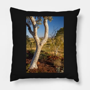 Karijini National Park, Western Australia Pillow