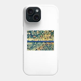 Road through colorful autumn forest Phone Case