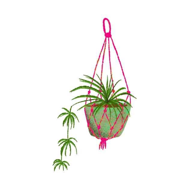 Spider plant macrame by Kimmygowland