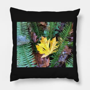The Sweet Leaves of the Forest in Autumn Pillow