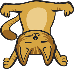 Cat In Different Yoga Poses Magnet