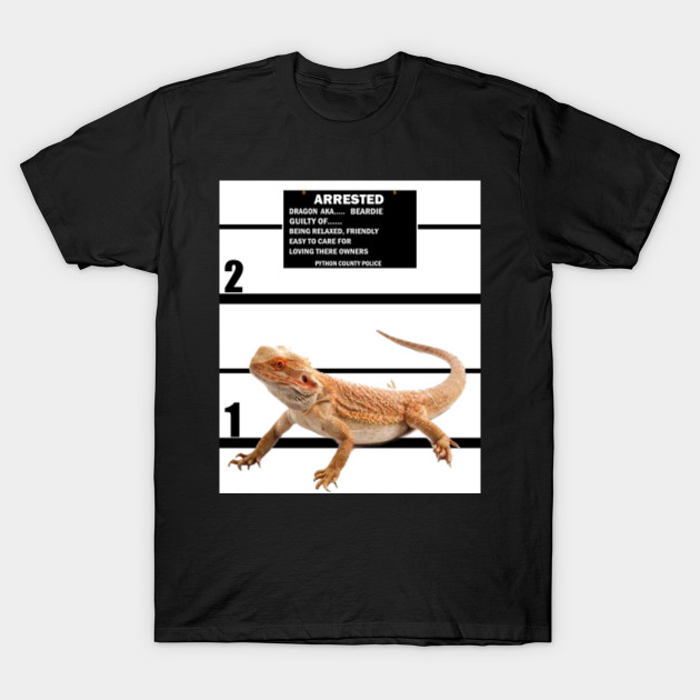 funny dragon shirts