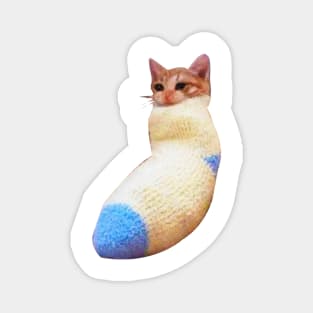 sadcat crying cat in sock meme Magnet