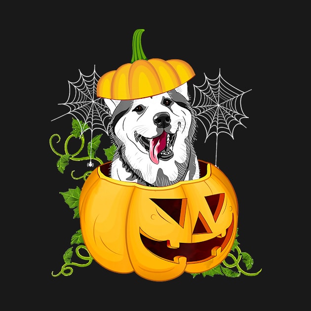 Funny Cute Pumpkin Halloween Dog Witch Pumpkin Husky Dog by JaydeMargulies
