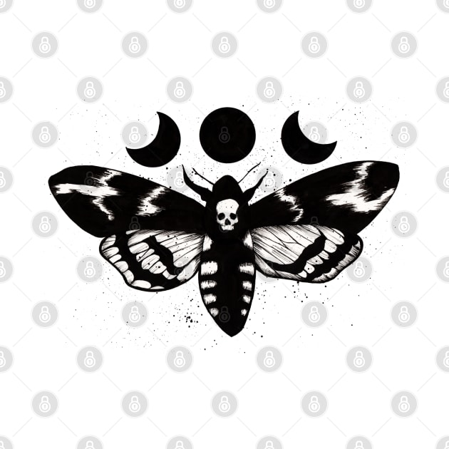 Death's-head hawkmoth phases by snowsart