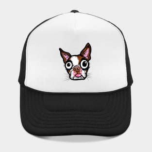 Brown Boston Terrier Hat