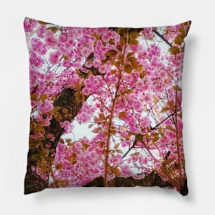 Lovely Cherry Blossoms Pillow