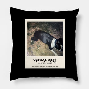 Veruca Salt -  American Thighs. 90's alternative rock band Pillow