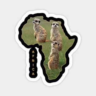 Funny Meerkat - Mongoose - in Africa Magnet