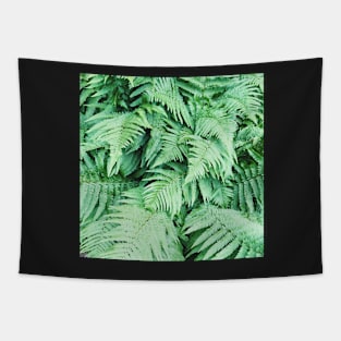 Ferns Tapestry