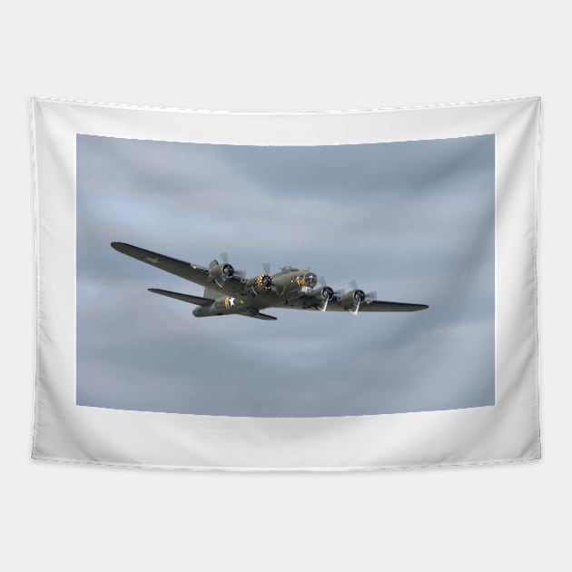 Sally B Tapestry by Nigdaw