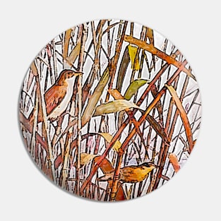 canary birds in the grass Pin