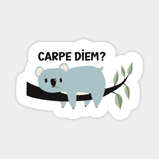 Cute but a little  depressed Koala meditating about Carpe Diem. Is it worth it? Magnet