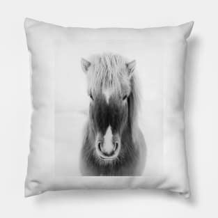 Icelandic Horse Portrait, black and white Pillow