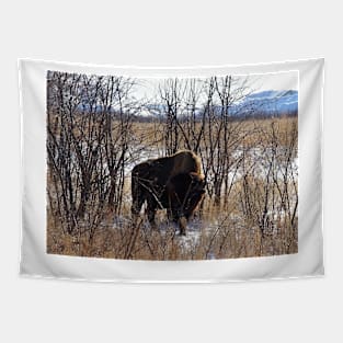 Colorado Buffalo Tapestry