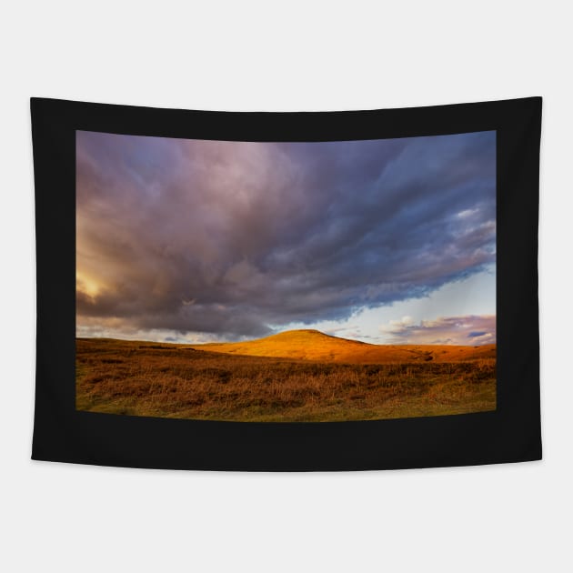 Sugar Loaf, Brecon Beacons National Park Tapestry by dasantillo