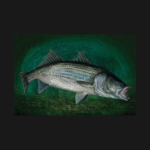 Striped Bass in Blue Green Depths, Ocean Fishing by fishweardesigns