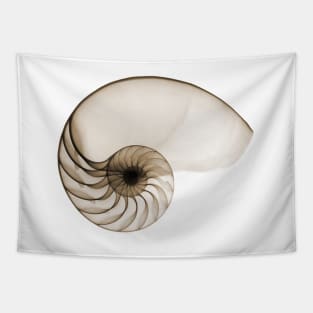 Sepia Seashell Tapestry