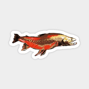 Arctic Char Fish Magnet