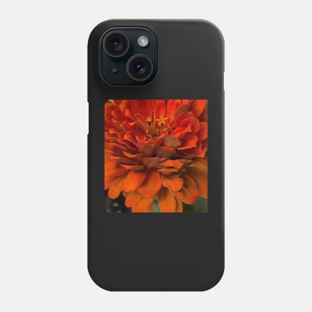 Orange You Beautiful Dear Zinnia Phone Case by Photomersion