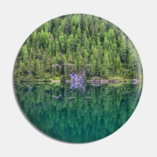 Trees at Lake Braies Pin