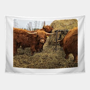 Scottish Highland Cattle Bulls 2342 Tapestry