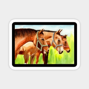 Watercolor Horses Painting Magnet