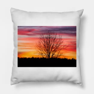 Tree silhouette and beautiful vibrant sunset clouds Pillow