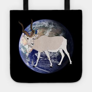 Fabulous planet of diversity : ADDAX Tote