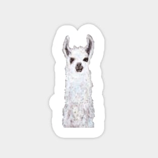 llama Magnet