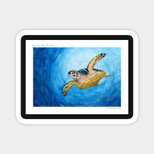 Green Sea Turtle Magnet