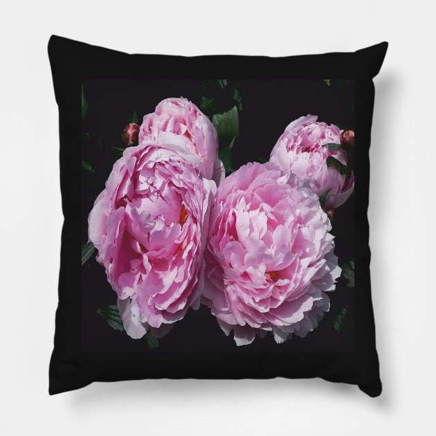 peony Pillow by robelf