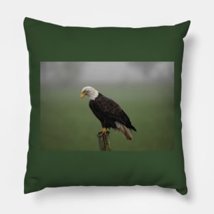 Perched Pillow