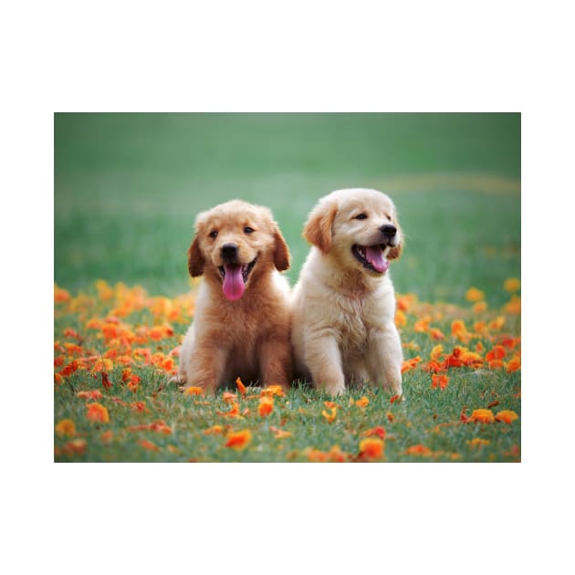 Golden Retriever by kawaii_shop