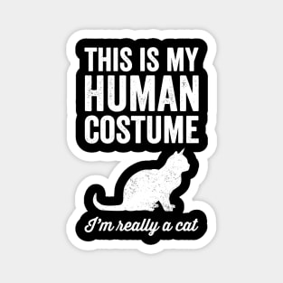 This is my human costume I'm really a cat Magnet