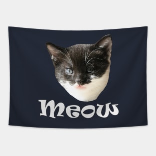 Funny Cute Cats Kittens Meow Tapestry