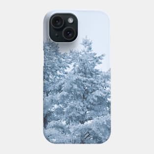 Winter wonderland Phone Case