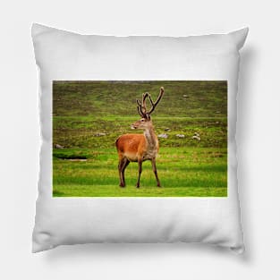 Highland Stag Pillow