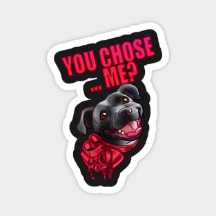 YOU CHOSE ME ? GREY BLACK STAFFY PINK CARD Magnet