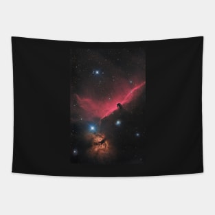 Horsehead and Flame nebula in constellation Orion Tapestry