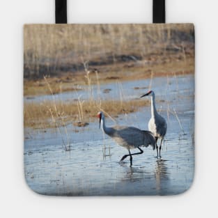 Sandhill Cranes Wading thru the Malheur NWR Tote