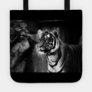 sebirian tiger, tiger black and white Tote