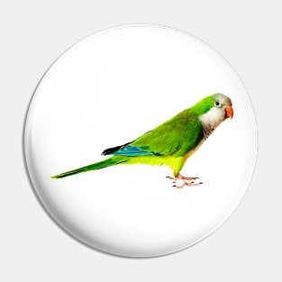Green Parakeet Pin
