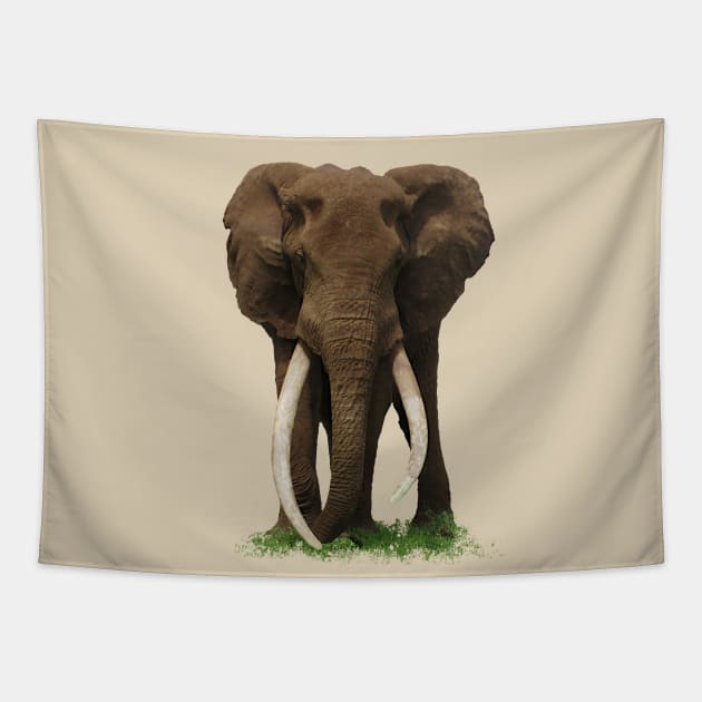 Elephant with big tusk in Africa Tapestry by T-SHIRTS UND MEHR