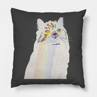 Rainbow Cat Pillow